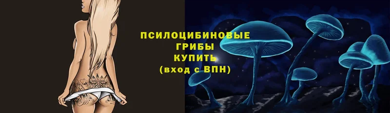 Псилоцибиновые грибы ЛСД  где найти наркотики  гидра tor  Лагань 